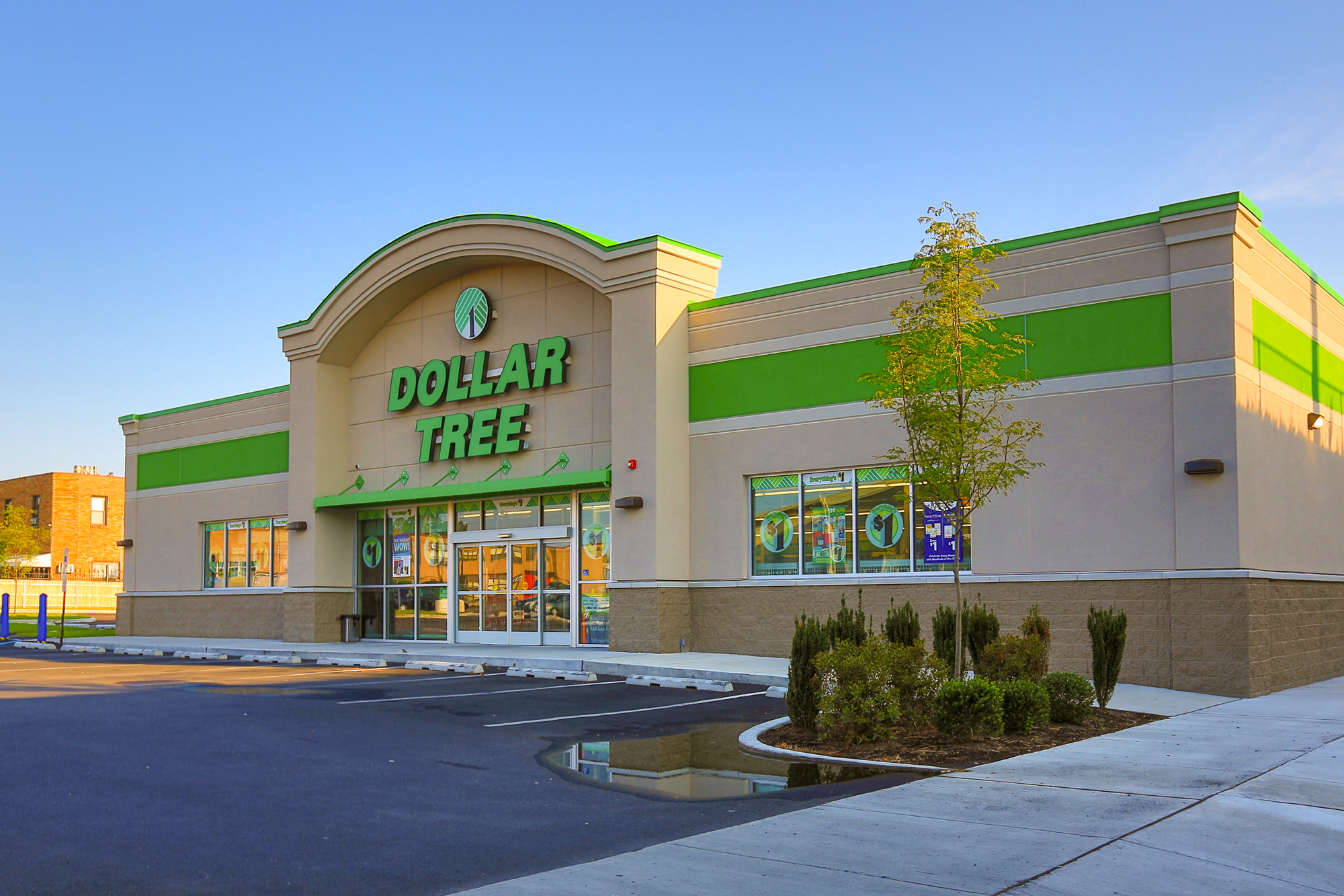 Dollar Tree – Princeton, TX - Net Lease Advisory Group